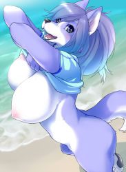 Rule 34 | 1girl, animal ears, beach, blue eyes, blush, bottomless, breasts, dog ears, dog tail, furry, furry female, kikurage (crayon arts), large breasts, looking at viewer, nipples, open mouth, original, shirt, short sleeves, solo, standing, t-shirt, tail, undressing, water