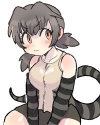 Rule 34 | 1girl, :/, bad id, bad twitter id, bare shoulders, closed mouth, collarbone, elbow gloves, frilled lizard (kemono friends), gloves, grey hair, highres, igarashi (nogiheta), kemono friends, lizard tail, looking at viewer, medium hair, orange eyes, short twintails, shorts, sidelocks, simple background, sitting, solo, striped clothes, striped gloves, striped tail, tail, twintails, v-shaped eyebrows, vest, white background, zipper
