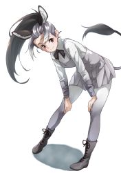Rule 34 | 1girl, animal ear fluff, animal ears, boots, brown eyes, commentary, donkey (kemono friends), donkey ears, donkey tail, dress, forehead, full body, gradient legwear, grey dress, grey footwear, grey hair, hand on own knee, highres, kemono friends, kemono friends 2, leaning forward, long sleeves, looking at viewer, multicolored hair, pantyhose, pinafore dress, ponytail, simple background, sleeveless dress, smile, solo, standing, tail, tanabe (fueisei), white background