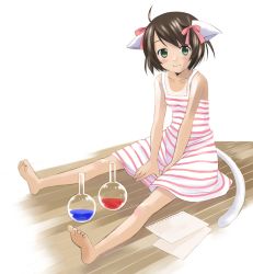 Rule 34 | 1girl, animal ears, artist request, barefoot, cat ears, cat tail, dress, feet, flask, round-bottom flask, simple background, smile, solo, striped clothes, striped dress, tail, tan, tanline, white background, wooden floor