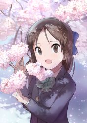 Rule 34 | 1girl, :d, black eyes, blue bow, bow, bowtie, brown hair, cherry blossoms, commentary request, hair bow, idolmaster, idolmaster cinderella girls, long hair, looking at viewer, open mouth, pettan p, smile, solo, tachibana arisu, upper body