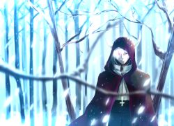 Rule 34 | 1boy, arch bishop (ragnarok online), bad id, bad pixiv id, bare tree, black coat, black eyes, brown cloak, celtic cross, cloak, closed mouth, coat, commentary request, cropped jacket, cross, cross necklace, forest, heterochromia, hood, hood up, hooded cloak, horned hood, horns, inverted cross, jacket, jewelry, looking at viewer, male focus, mit (necomit), nature, necklace, ragnarok online, red eyes, short hair, snowing, solo, tree, upper body, white hair, white jacket, winter