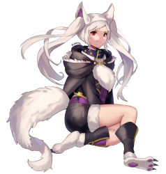Rule 34 | 1girl, animal ears, collar, fire emblem, fire emblem awakening, fire emblem heroes, fur trim, grima (fire emblem), halloween costume, highres, nintendo, red eyes, robin (female) (fire emblem), robin (fire emblem), shorts, simple background, solo, spiffydc, tail, twintails, twitter username, white background, white hair, wolf ears, wolf tail