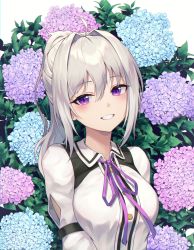 Rule 34 | 1girl, absurdres, ahoge, blue flower, breasts, buttons, clothing cutout, collared shirt, commentary, flower, grey hair, grin, hair between eyes, hair intakes, head tilt, highres, hydrangea, ine (vtuber), leaf, long hair, long sleeves, looking at viewer, neck ribbon, pink flower, ponytail, purple eyes, purple flower, purple ribbon, ribbon, sarika, shirt, sidelocks, small breasts, smile, solo, upper body, virtual youtuber, waktaverse, white background, white shirt