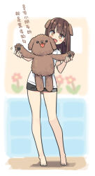 Rule 34 | 1girl, :d, barefoot, black shorts, blurry, blurry background, blush, brown eyes, brown hair, commentary request, depth of field, full body, hands up, hatsunatsu, holding, holding stuffed toy, leaning to the side, long hair, open mouth, original, shirt, short shorts, short sleeves, shorts, smile, solo, standing, stuffed animal, stuffed dog, stuffed toy, translation request, white shirt