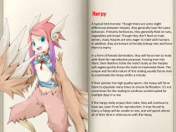 Rule 34 | character profile, harpy, mon-musu quest!, monster girl, tagme, text focus, translated