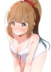 Rule 34 | 1girl, absurdres, blunt bangs, blush, breasts, brown hair, cleavage, collarbone, front-tie swimsuit, full-face blush, hair ornament, hair scrunchie, highres, ichigo monaka, idolmaster, idolmaster cinderella girls, leaning forward, looking at viewer, medium breasts, one-piece swimsuit, ponytail, scrunchie, simple background, solo, swimsuit, white background, white one-piece swimsuit, yorita yoshino