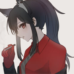 Rule 34 | 1girl, animal ears, arknights, black hair, black jacket, cigarette, collared shirt, diagonal-striped clothes, diagonal-striped necktie, dress shirt, ear piercing, extra ears, from side, gloves, grey necktie, hand up, holding, holding cigarette, jacket, long sleeves, looking at viewer, necktie, off shoulder, official alternate costume, open clothes, open jacket, parted lips, piercing, ponytail, portrait, red gloves, red shirt, shimasato, shirt, sidelocks, sideways glance, simple background, solo, striped clothes, texas (arknights), texas (willpower) (arknights), white background, wolf ears