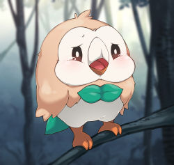 Rule 34 | animal focus, bird, black eyes, blurry, blurry background, blush, boingfarm, branch, bright pupils, creatures (company), day, forest, full body, game freak, gen 7 pokemon, highres, in tree, nature, nintendo, no humans, outdoors, pokemon, pokemon (creature), rowlet, sad, solo, standing, tears, tree, white pupils
