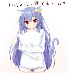 Rule 34 | 1girl, animal ears, bad id, bad pixiv id, blue hair, blush, cat ears, cat girl, cat tail, female focus, food, fruit, hair ornament, highres, hinanawi tenshi, hugging object, kemonomimi mode, long hair, long sleeves, looking at viewer, naked shirt, peach, pillow, pillow hug, plhsxf, red eyes, shirt, simple background, solo, tail, touhou, translated, very long hair, white background