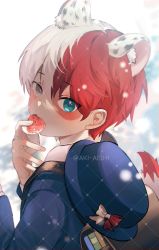 Rule 34 | 1boy, aged down, akira aishi, animal ear fluff, animal ears, artist name, bag, blue eyes, blue hat, blue shirt, boku no hero academia, bow, burn scar, child, commentary, eating, food, fruit, grey eyes, hat, hat bow, heterochromia, holding, holding food, kemonomimi mode, leopard ears, long sleeves, looking at viewer, male focus, multicolored hair, red bow, red hair, scar, scar on face, shirt, short hair, solo, split-color hair, standing, strawberry, tail, todoroki shouto, two-tone hair, unworn hat, unworn headwear, white hair