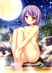 Rule 34 | 1boy, absurdres, bamboo, full moon, highres, himegoto masquerade, knees to chest, light purple hair, male focus, mikeou, moon, nude, onsen, shirahane itsuki, short hair, sitting, solo, trap, yellow eyes