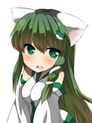 Rule 34 | 1girl, alternate color, animal ears, bare shoulders, blush, breasts, cat ears, cat girl, detached sleeves, female focus, frog, green eyes, green hair, hair ornament, kemonomimi mode, kochiya sanae, long hair, looking at viewer, mikan (ama no hakoniwa), open mouth, simple background, snake, solo, sweatdrop, touhou, upper body, white background