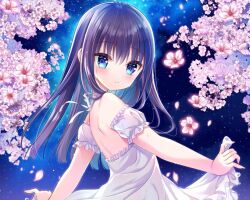 Rule 34 | 1girl, black hair, blue eyes, blush, closed mouth, commentary request, detached sleeves, dress, flower, frilled dress, frilled sleeves, frills, from side, hair between eyes, long hair, looking at viewer, looking to the side, night, night sky, original, outdoors, pink flower, puffy short sleeves, puffy sleeves, shiwasu horio, short sleeves, skirt hold, sky, smile, solo, star (sky), starry sky, very long hair, white dress, white sleeves