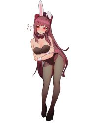 Rule 34 | 1girl, animal ears, bad id, bad twitter id, black leotard, black pantyhose, blush, breasts, cleavage, closed mouth, detached collar, embarrassed, fake animal ears, flying sweatdrops, full body, girls&#039; frontline, hair ribbon, hanato (seonoaiko), highres, large breasts, leotard, long hair, looking at viewer, one side up, pantyhose, playboy bunny, ponytail, purple hair, rabbit ears, red eyes, ribbon, self hug, simple background, solo, very long hair, wa2000 (girls&#039; frontline)