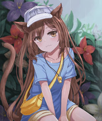 Rule 34 | 10s, 1girl, animal ears, bad id, bad pixiv id, between legs, blue shirt, brown eyes, brown hair, cat ears, cat tail, character name, collarbone, flower, hand between legs, hat, hataraku saibou, head tilt, highres, long hair, looking at viewer, outdoors, platelet (hataraku saibou), purple flower, rain, red flower, shirt, short shorts, short sleeves, shorts, sitting, smile, solo, sunmil, swept bangs, tail, very long hair, wet, whistle, whistle around neck, white hat, yellow shorts