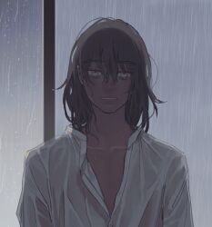 Rule 34 | 1boy, collarbone, collared shirt, fate/grand order, fate (series), grey hair, highres, humanization, indoors, looking at viewer, male focus, medium hair, no wings, oberon (fate), rain, shirt, solo, someki noi, upper body, wet, wet clothes, wet shirt, white shirt