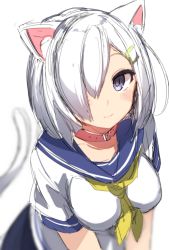 Rule 34 | 10s, 1girl, animal ears, blue eyes, blurry, blush, breasts, cat ears, cat tail, collar, depth of field, hair ornament, hair over one eye, hairclip, hamakaze (kancolle), highres, kantai collection, kemonomimi mode, large breasts, looking at viewer, pleated skirt, school uniform, serafuku, short hair, short sleeves, skirt, smile, solo, tail, takeshima eku, v arms, white hair