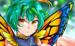 Rule 34 | 1girl, absurdres, antennae, aqua hair, butterfly wings, croca ing, dress, eternity larva, fairy, hair between eyes, highres, insect wings, leaf, leaf on head, multicolored clothes, multicolored dress, parted lips, short hair, short sleeves, solo, touhou, wings, yellow eyes