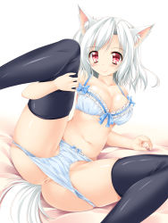 Rule 34 | 1girl, animal ears, anus, ass, black thighhighs, blue bra, blue panties, bow, bow bra, bow panties, bra, breasts, cleavage, collarbone, female focus, frilled bra, frills, groin, highres, inubashiri momiji, kamiya tomoe, large breasts, leg hold, leg up, looking at viewer, navel, open m/, panties, panty pull, partially visible vulva, pink eyes, silver hair, sitting, smile, solo, spread legs, tail, thighhighs, touhou, uncensored, underwear, underwear only, wolf ears, wolf tail
