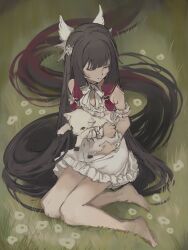 1girl absurdly_long_hair animal bandaged_wrist bandages barefoot black_hair black_ribbon blunt_bangs blunt_tresses bow bowtie closed_eyes columbina_(genshin_impact) dress eyelashes feathered_wings flower frilled_dress frills genshin_impact goat hair_ribbon hair_spread_out head_wings highres holding holding_animal kingyo_(nyankomanjyuu15) large_bow long_hair multicolored_hair multiple_wings on_grass red_hair ribbon sitting sleeveless sleeveless_dress solo streaked_hair toes tress_ribbon very_long_hair white_bow white_bowtie white_dress white_flower white_sleeve_cuffs white_wings wings wrist_bow yokozuwari