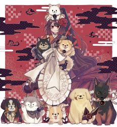 Rule 34 | 1girl, absurdres, animal, animal on head, apron, bernese mountain dog, brown hair, commentary, dog, dog on head, egasumi, fate/grand order, fate (series), flower, german shepherd, golden retriever, hair flower, hair ornament, highres, holding, holding animal, holding dog, husky, japanese clothes, kimono, kyokutei bakin (fate), kyokutei bakin (first ascension) (fate), long hair, multiple dogs, noa pisces, on head, ponytail, red background, red eyes, samoyed (dog), shiba inu, smile, too many, too many dogs, very long hair, welsh corgi