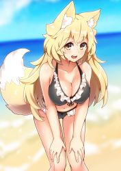 Rule 34 | 1girl, absurdres, animal ears, bad id, bad pixiv id, beach, bikini, black bikini, blonde hair, blurry, blurry background, blush, breasts, cleavage, collarbone, day, fox ears, fox girl, fox tail, frilled bikini, frills, hands on own knees, highres, large breasts, leaning forward, long hair, looking at viewer, navel, ocean, open mouth, original, outdoors, solo, standing, swimsuit, tail, yellow eyes