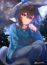 Rule 34 | 1girl, admire vega (umamusume), animal ears, black pants, blue sweater, brown eyes, brown hair, closed mouth, commentary request, feet out of frame, glint, hair between eyes, hair ribbon, horse ears, horse girl, horse tail, jewelry, ko yu, long hair, long sleeves, looking at viewer, night, night sky, outdoors, pants, pendant, ribbon, sky, smile, solo, squatting, star (sky), starry sky, sweater, tail, twitter username, umamusume, white ribbon