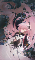 Rule 34 | 1girl, absurdres, arknights, black jacket, blush, closed eyes, cowboy shot, crossed arms, dress, dutch angle, facing up, field, flower, flower field, from above, hair between eyes, hair spread out, highres, holding, holding flower, horns, hugging object, jacket, jewelry, long dress, long hair, long sleeves, lying, multiple rings, on back, parted lips, pink hair, ring, sidelocks, solo, teeth, theresa (arknights), very long hair, white dress, white flower, yuyumu