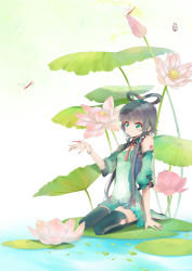 Rule 34 | 1girl, bug, detached sleeves, dragonfly, flower, hair rings, bug, lily pad, liusang, luo tianyi, solo, thighhighs, vocaloid