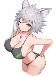 Rule 34 | 1girl, absurdres, animal ears, ass, bikini, black bikini, breasts, cat ears, cat girl, chest jewel, core crystal (xenoblade), crystal, from above, gonzarez, highres, large breasts, looking at viewer, messy hair, na&#039;el (xenoblade), one eye closed, short hair, simple background, solo, swimsuit, thighs, towel, xenoblade chronicles (series), xenoblade chronicles 3, xenoblade chronicles 3: future redeemed, yellow eyes