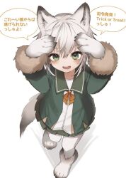 Rule 34 | 1girl, animal ears, commentary request, from above, full body, fur-trimmed sleeves, fur trim, green eyes, green jacket, green sailor collar, green skirt, grey hair, jacket, kantai collection, long sleeves, looking at viewer, messy hair, neck ribbon, pantyhose, pleated skirt, red ribbon, ribbon, sailor collar, school uniform, serafuku, shading eyes, shimushu (kancolle), short hair, skirt, solo, tail, translation request, white background, white pantyhose, wolf ears, wolf tail, yamashichi (mtseven)