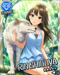 Rule 34 | 1girl, animal, artist request, bracelet, breasts, brown hair, card (medium), character name, cleavage, collarbone, earrings, forest, gem (symbol), green eyes, idolmaster, idolmaster cinderella girls, jewelry, long hair, nature, necklace, official art, shibuya rin, shorts, sitting, sleeveless, smile, solo, tree, wolf