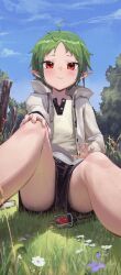 Rule 34 | 1girl, absurdres, ahoge, bingwei huang, book, closed mouth, elf, forehead, green hair, highres, hood, hooded jacket, jacket, light blush, looking at viewer, mushoku tensei, on grass, outdoors, pointy ears, red eyes, shirt, short eyebrows, short hair, short shorts, shorts, sitting, solo, sylphiette (mushoku tensei), thighs, wand, white jacket