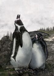 Rule 34 | absurdres, airport96, bird, commentary request, highres, penguin, pine tree, real life, tree