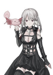 Rule 34 | 1girl, animal, au ra, axolotl, bare shoulders, black dress, black gloves, black thighhighs, breasts, chihuri, closed mouth, dragon horns, dress, final fantasy, final fantasy xiv, fingerless gloves, gloves, grey hair, hair between eyes, hand up, highres, horns, long sleeves, looking at viewer, medium breasts, red eyes, scales, simple background, solo, thighhighs, warrior of light (ff14), white background