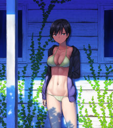 Rule 34 | 1girl, abs, bikini, black eyes, black hair, black jacket, feet out of frame, green bikini, hashi, jacket, looking at viewer, navel, open clothes, open jacket, original, plant, shade, short hair, solo, standing, stomach, striped bikini, striped clothes, swimsuit, tomboy, toned, vines, window