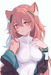 Rule 34 | 1girl, absurdres, animal ear fluff, animal ears, arknights, barcode, barcode tattoo, black jacket, blush, bodysuit, collarbone, commentary request, earpiece, gravel (arknights), hand up, head tilt, highres, infection monitor (arknights), jacket, looking at viewer, medium hair, mouse ears, off shoulder, open clothes, open jacket, open mouth, pink eyes, pink hair, shino duka, simple background, solo, tattoo, upper body, white bodysuit