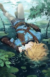 Rule 34 | 1boy, absurdres, blonde hair, blue flower, blue tunic, boots, branch, brown footwear, brown gloves, buckle, champion&#039;s tunic (zelda), closed eyes, earrings, fingerless gloves, fingernails, flower, from above, gloves, highres, holding, holding flower, jewelry, lily pad, link, lying on water, male focus, multiple rings, nintendo, pants, pointy ears, qianben shan, ring, ripples, short hair, silent princess, single glove, solo, the legend of zelda, the legend of zelda: tears of the kingdom, water, white pants