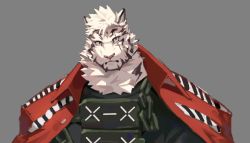 Rule 34 | 1boy, animal ears, arknights, chain, chain necklace, furry, furry male, jacket, jacket on shoulders, jewelry, looking at viewer, male focus, mountain (arknights), necklace, official alternate costume, scar, scar across eye, scar on face, short hair, solo, tiger boy, tiger ears, upper body, white fur, white hair, yed (yedsilent)