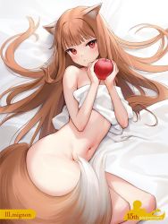 Rule 34 | 1girl, :&lt;, animal ear fluff, animal ears, apple, bed sheet, blunt bangs, blush, breasts, brown hair, commentary, completely nude, food, fruit, highres, holding, holding food, holding fruit, holo, long hair, looking at viewer, lying, mignon, navel, nude, on side, red eyes, small breasts, solo, spice and wolf, tail, very long hair, wolf ears, wolf girl, wolf tail
