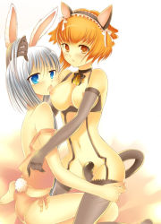 Rule 34 | 2girls, animal ears, blue eyes, blush, breast sucking, breasts, rabbit ears, rabbit tail, cat ears, cat tail, caught, choker, covering privates, covering crotch, lingerie, long hair, looking at viewer, multiple girls, nipples, orange eyes, orange hair, panties, short hair, tail, thighhighs, underwear, white hair, yuri