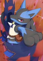 Rule 34 | black fur, blue fur, body fur, clothed pokemon, creatures (company), furry, furry male, game freak, gen 4 pokemon, halloween, looking at viewer, lucario, lucario (costume party), male focus, nintendo, pokemon, pokemon (creature), pokemon unite, smile, spikes, twitter username, wolf boy