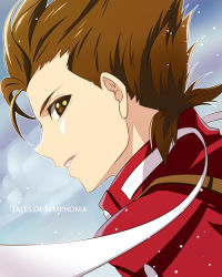 Rule 34 | 00s, 1boy, brown eyes, brown hair, copyright name, lloyd irving, male focus, nina (pastime), portrait, profile, red shirt, shirt, solo, tales of (series), tales of symphonia
