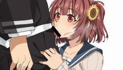 Rule 34 | 1boy, 1girl, :&gt;=, blue sailor collar, blush, brown cardigan, brown eyes, brown hair, cardigan, collarbone, cum, cum in mouth, cumdrip, ejaculation, eye contact, fellatio, fingernails, flower, hair flower, hair ornament, hand on another&#039;s hip, hinata aoi, looking at another, looking up, oral, ore wo suki nano wa omae dake ka yo, penis, sailor collar, school uniform, shirt, short hair, sunflower, sunflower hair ornament, swallowing, sweat, sweatdrop, white background, white shirt, wide-eyed
