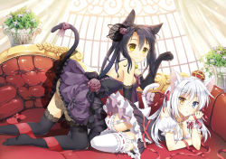 Rule 34 | 2girls, all fours, animal ears, bare shoulders, black gloves, black hair, black legwear, blush, borrowed character, breasts, cat ears, cat tail, cleavage, crossover, crown, detached sleeves, elbow gloves, garter straps, gloves, head rest, heterochromia, jewelry, lace, lace-trimmed legwear, lace trim, laces, long hair, looking at viewer, lying, mauve, multiple girls, necklace, on side, original, panties, parted lips, paw pose, puffy sleeves, ribbon, skirt, slit pupils, small breasts, smile, tail, tail ornament, tail ribbon, thighhighs, twintails, underwear, white hair, white legwear, white panties, yellow eyes, zettai ryouiki