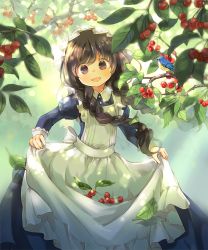 Rule 34 | 1girl, :d, animal, apron, bird, blue dress, blush, bow, braid, brown hair, buttons, cherry, collared dress, dappled sunlight, day, dot nose, dress, floating hair, food, frilled apron, frilled cuffs, frills, fruit, hat, holding, holding clothes, juliet sleeves, kuga tsukasa, leaf, long hair, long sleeves, looking at viewer, low twintails, maid, maid apron, maid cap, mob cap, open mouth, original, outdoors, picking fruit, puffy sleeves, purple eyes, shadow, skirt basket, sleeve cuffs, smile, solo, sunlight, tareme, tree, twin braids, twintails, white apron, white bow, white hat, wind