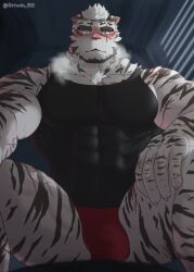 Rule 34 | 1boy, abs, animal ears, arknights, bara, black tank top, blush, breath, briefs, bulge, covered abs, ear blush, ears down, facial hair, feet out of frame, from below, furry, furry male, goatee, heavy breathing, highres, large hands, large pectorals, looking at viewer, male focus, male underwear, manspreading, mountain (arknights), muscular, muscular male, navel, nipples, no pants, orea-doi, pectorals, red male underwear, scar, scar across eye, short hair, solo, stomach, tank top, thick eyebrows, thick thighs, thighs, tiger boy, tiger ears, topless male, underwear, v-taper, white fur, white hair