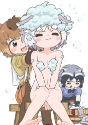 Rule 34 | 3girls, :3, :d, :q, animal ears, appleq, barefoot, basin, between legs, blush, brown hair, capybara (kemono friends), unworn clothes, commentary request, common raccoon (kemono friends), convenient censoring, dog (mixed breed) (kemono friends), dog ears, closed eyes, grey hair, hand between legs, highres, kemono friends, multicolored hair, multiple girls, nude, open mouth, raccoon ears, round teeth, short hair, simple background, sitting, smile, soap bubbles, stool, teeth, tongue, tongue out, two-tone hair, v arms, washing, washing hair, white background