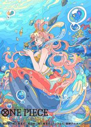 Rule 34 | 1girl, belly chain, bikini, bubble, commentary request, copyright name, coral reef, earrings, fish, fish hair ornament, giant, giantess, hagoromo, hair ornament, half updo, jewelry, long hair, mermaid, monster girl, nara lalana, official art, one piece, one piece card game, pink hair, profile, shawl, shell, shell earrings, shirahoshi, smile, swimsuit, underwater, very long hair, yellow bikini
